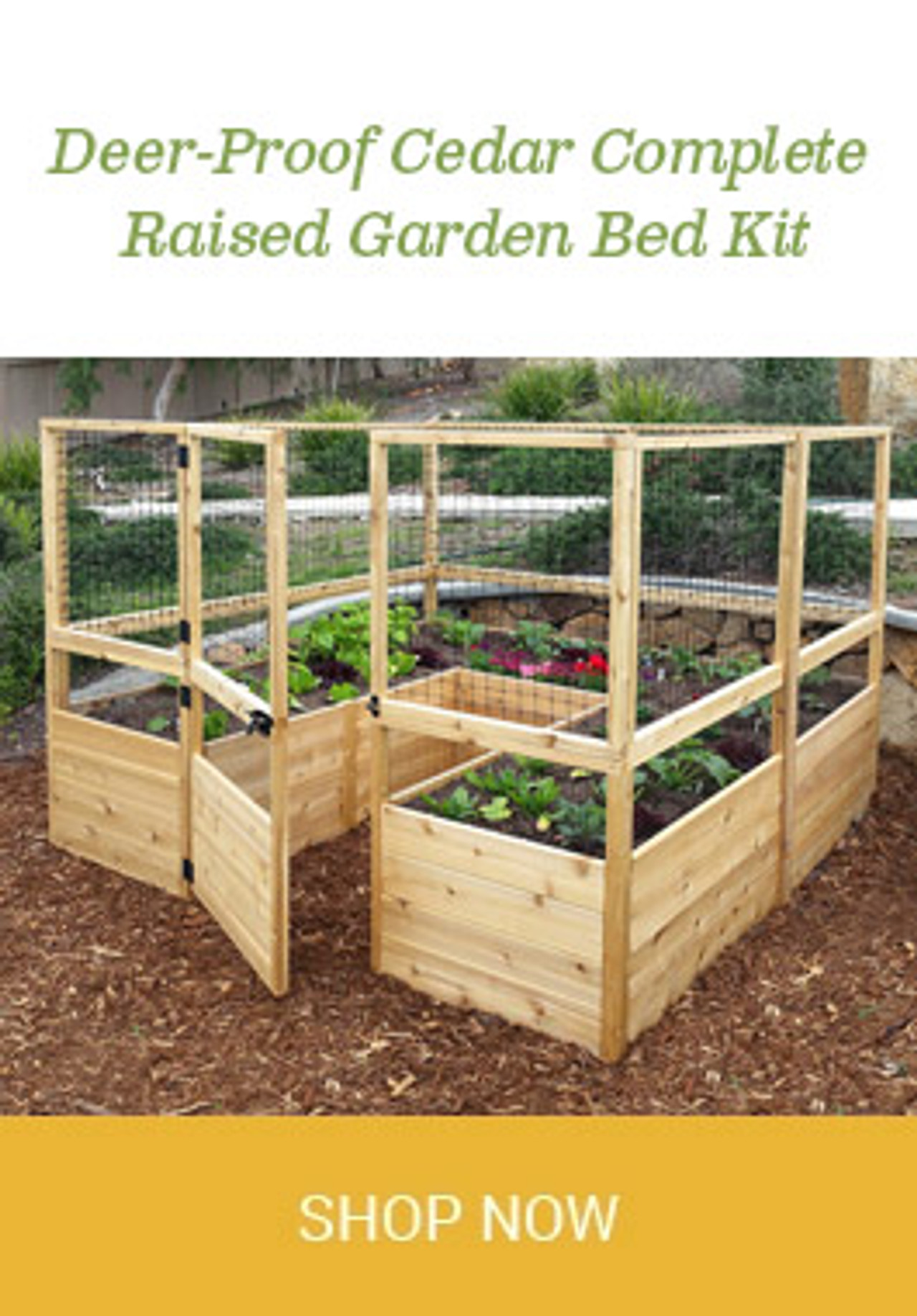 Deer-Proof Cedar Complete Raised Garden Bed Kit