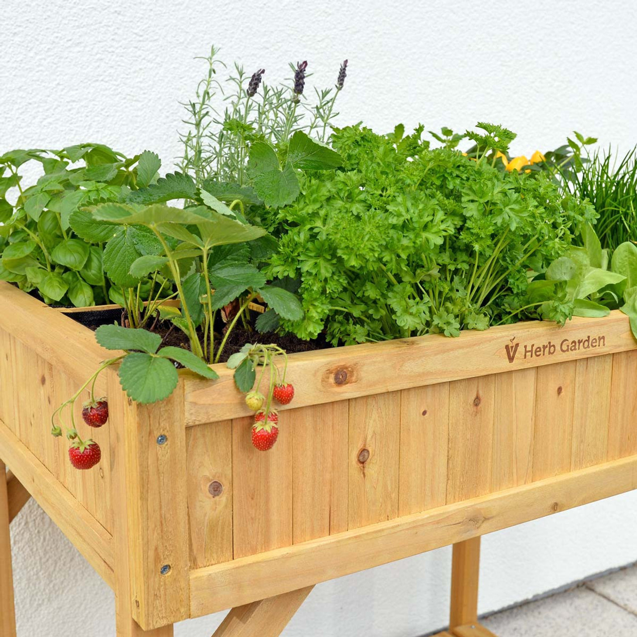 VegTrug™ Self-Watering Herb Planter Box