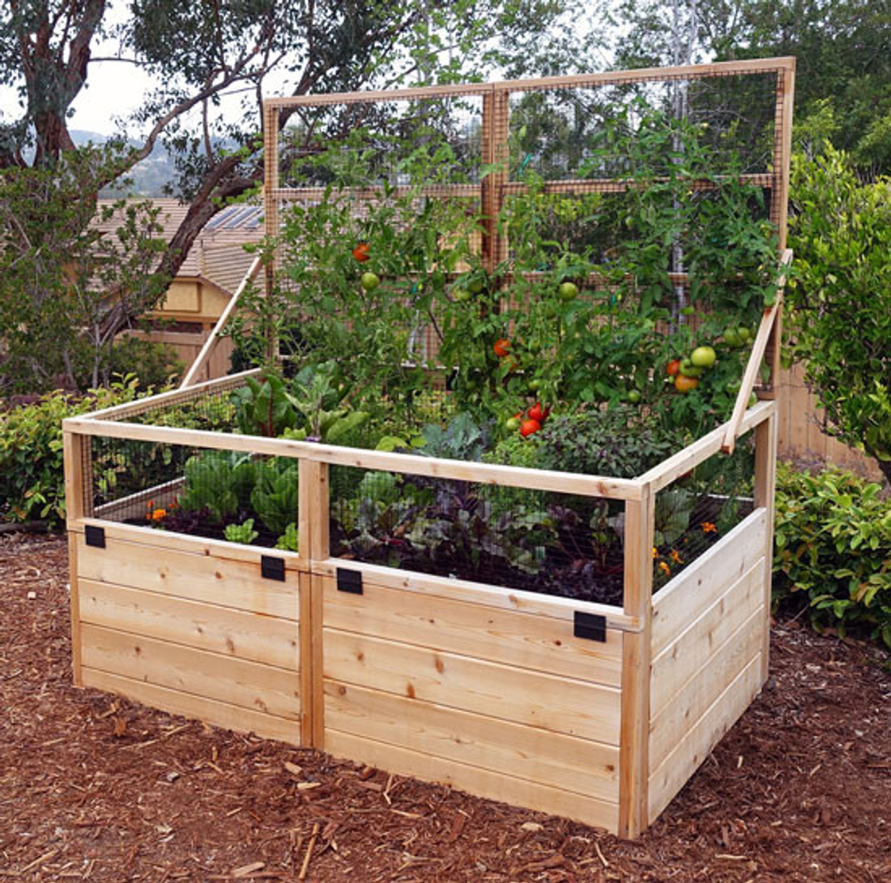 3 x 6 Raised Garden Bed With Hinged Fencing and Trellis Eartheasy