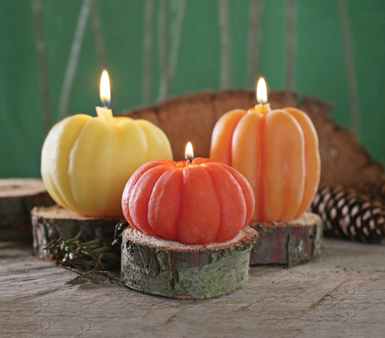 Toasty Pumpkin Brulee Pure Beeswax Fall Candle Tin 30+ Hours Long Burning Classically Designed Scented Candles for Home Decor and Aromatherapy to