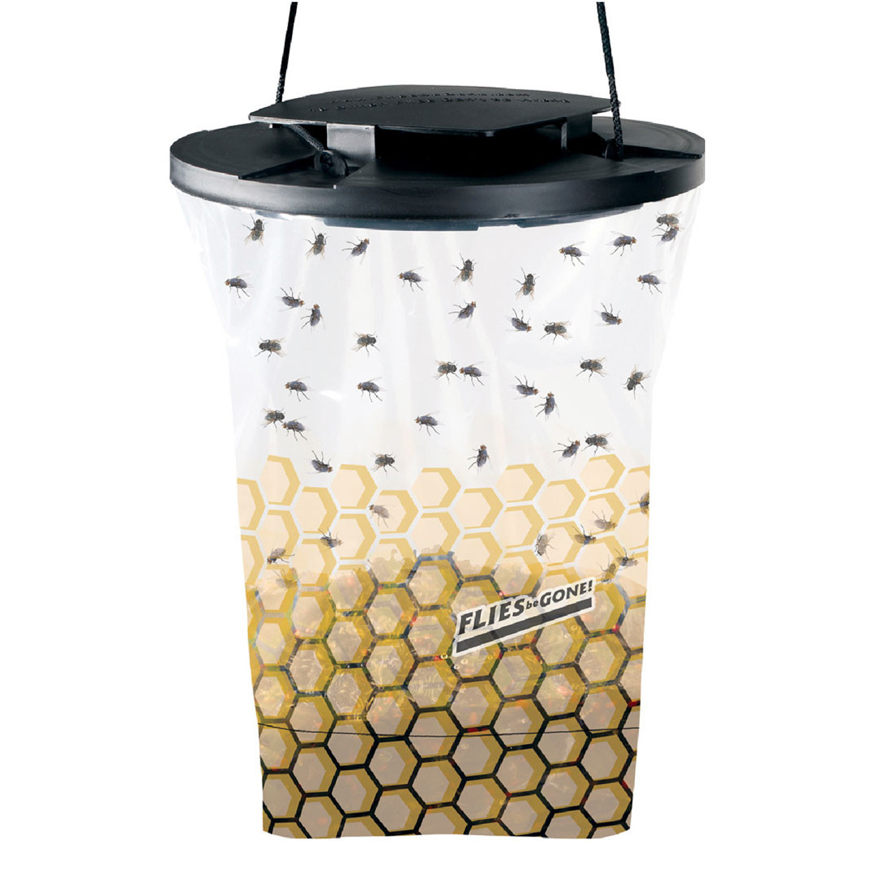 Ready-to-Use Indoor Fruit Fly Traps with Bait (6-Count)