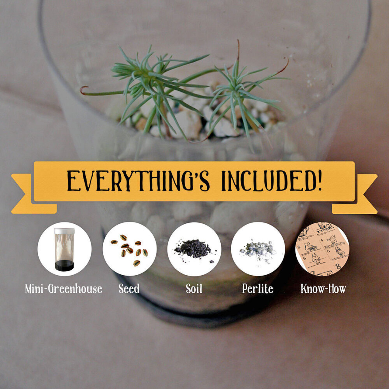 Crystal Growing Kit: Giant Sequoia - ThatsMyPark