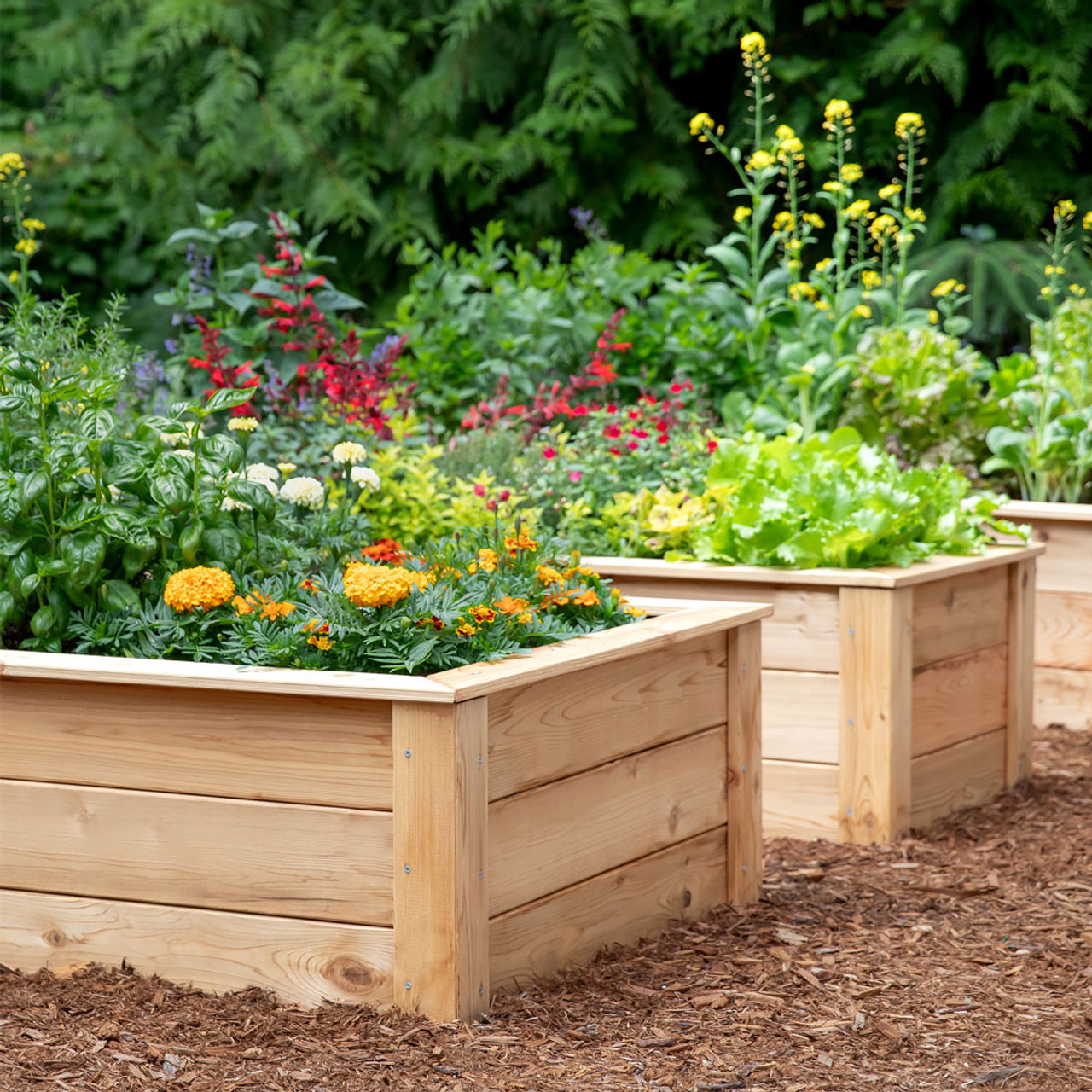 Cedar Raised Bed