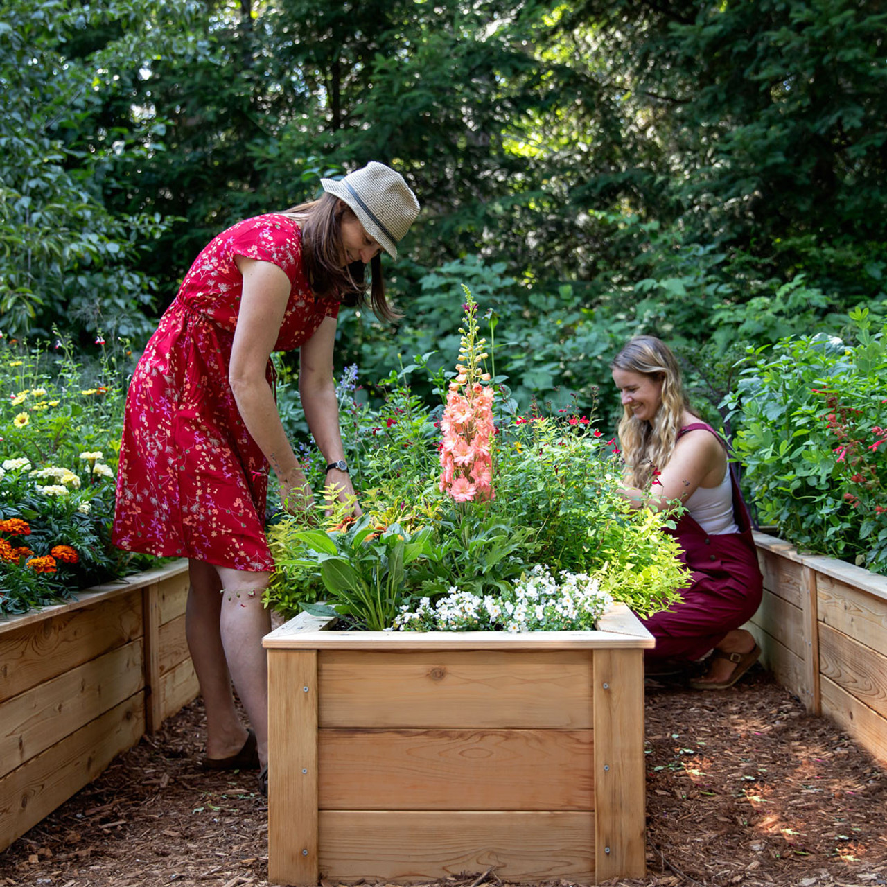 Cedar Raised Bed in Garden
