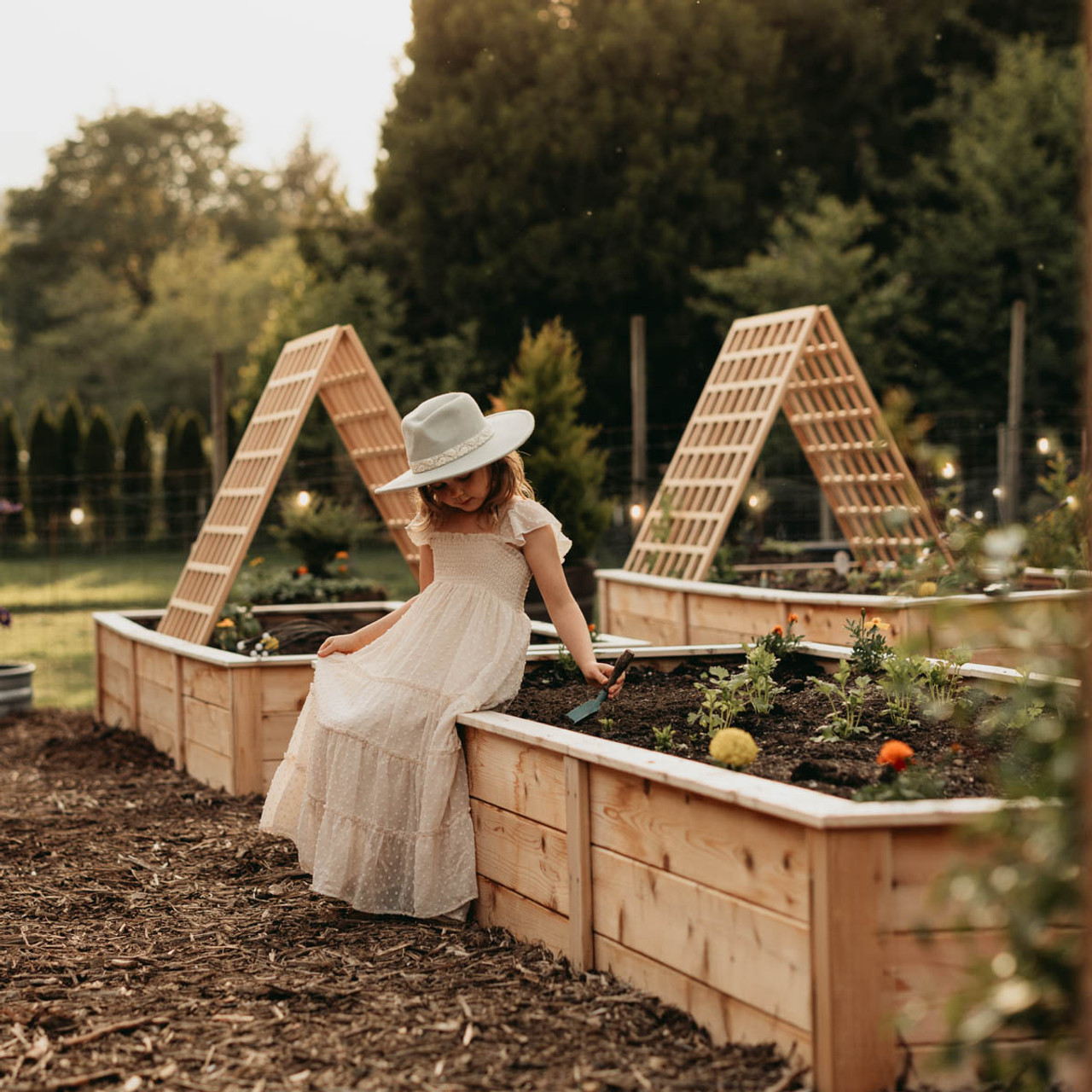 Cedar Raised Bed Close-up
