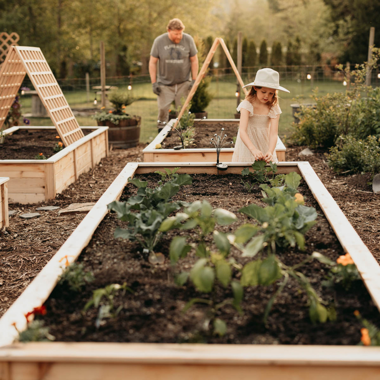 Cedar Raised Bed Installation