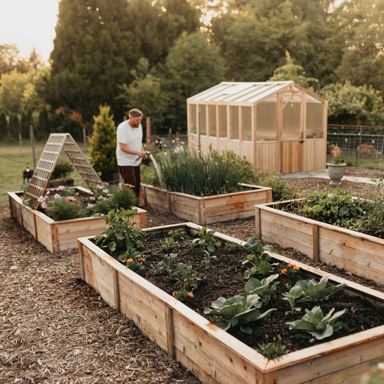Building Raised Planter Boxes: Easy DIY Tips for Stunning Gardens