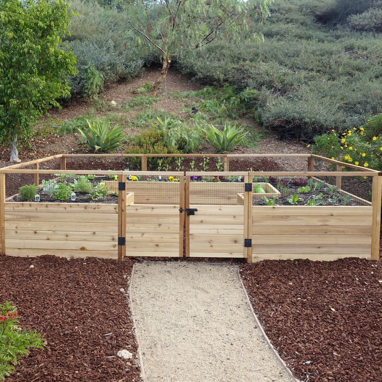 Cedar Complete Raised Garden Bed Kit - 12' x 8' x 20