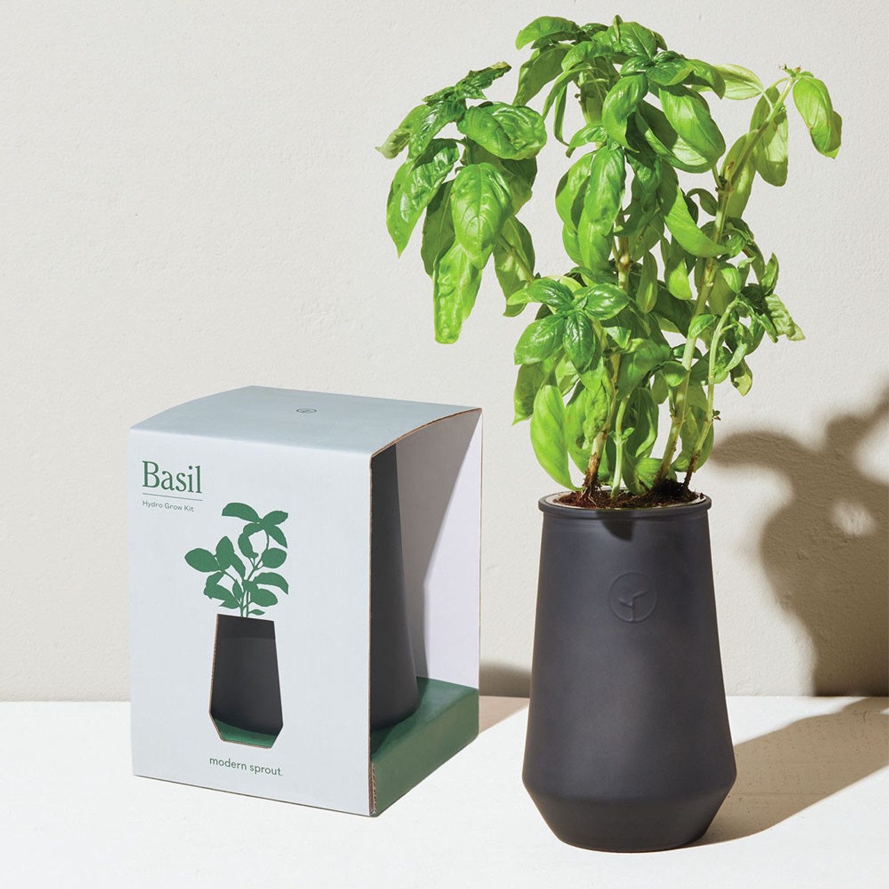 Tapered Tumbler Basil Grow Kit Eartheasy