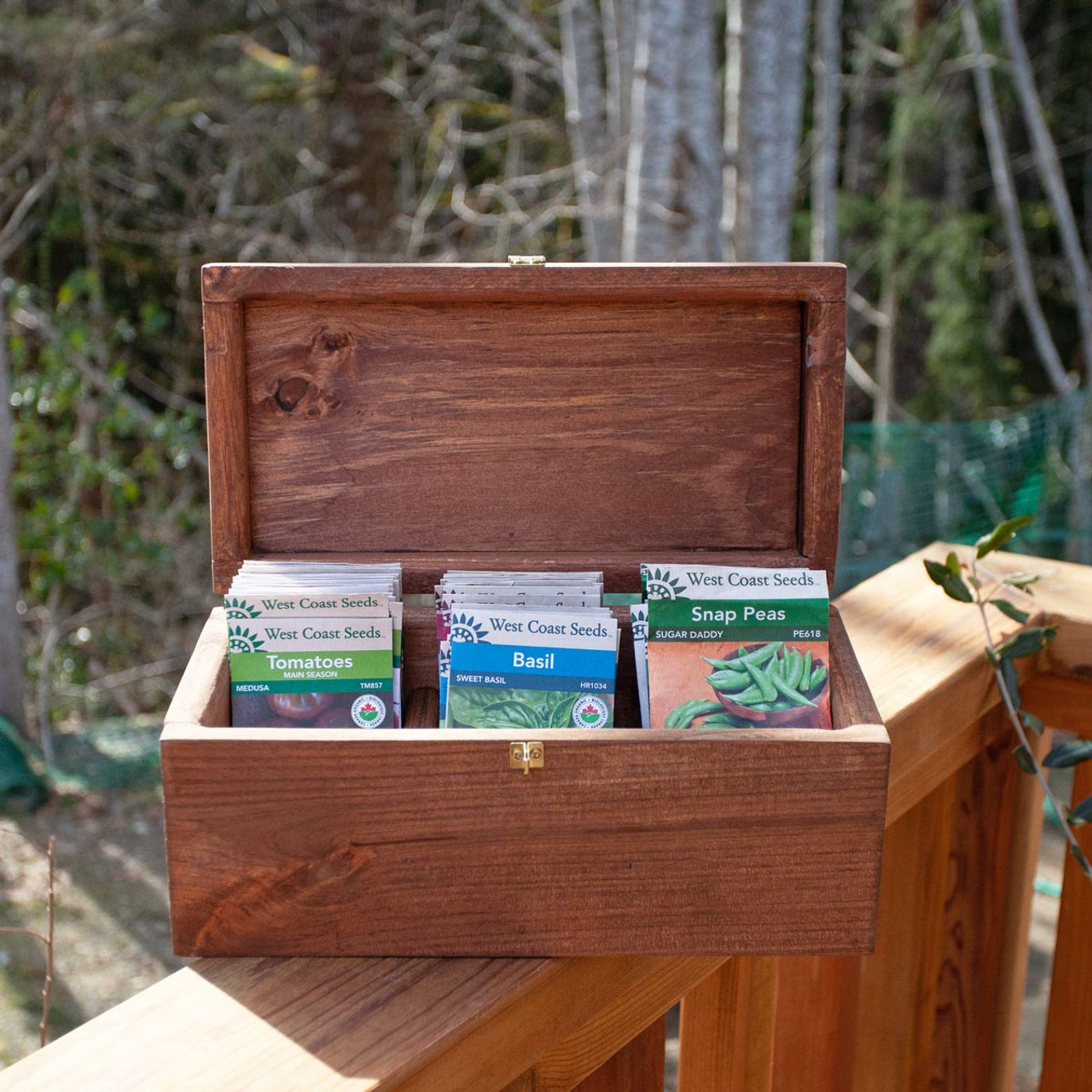 Terrain Hand Carved Seed Storage Box