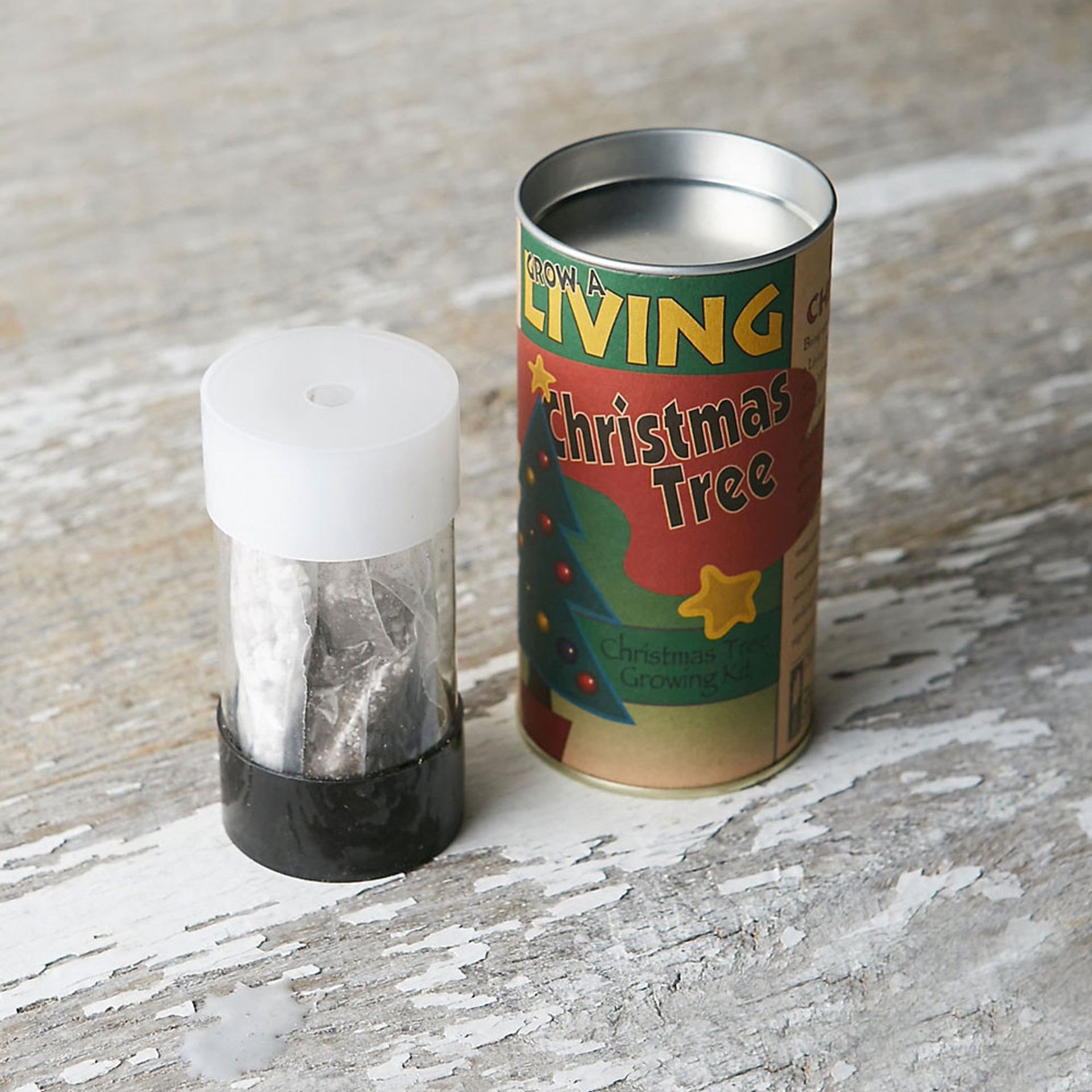 Christmas Tree Grow Kit