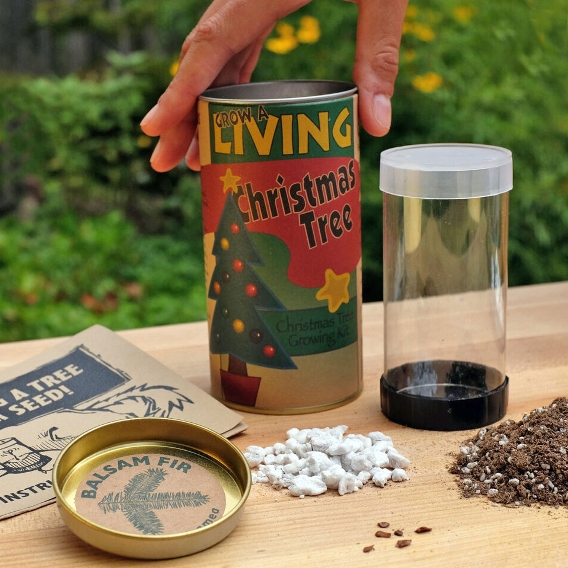 Christmas Tree Grow Kit