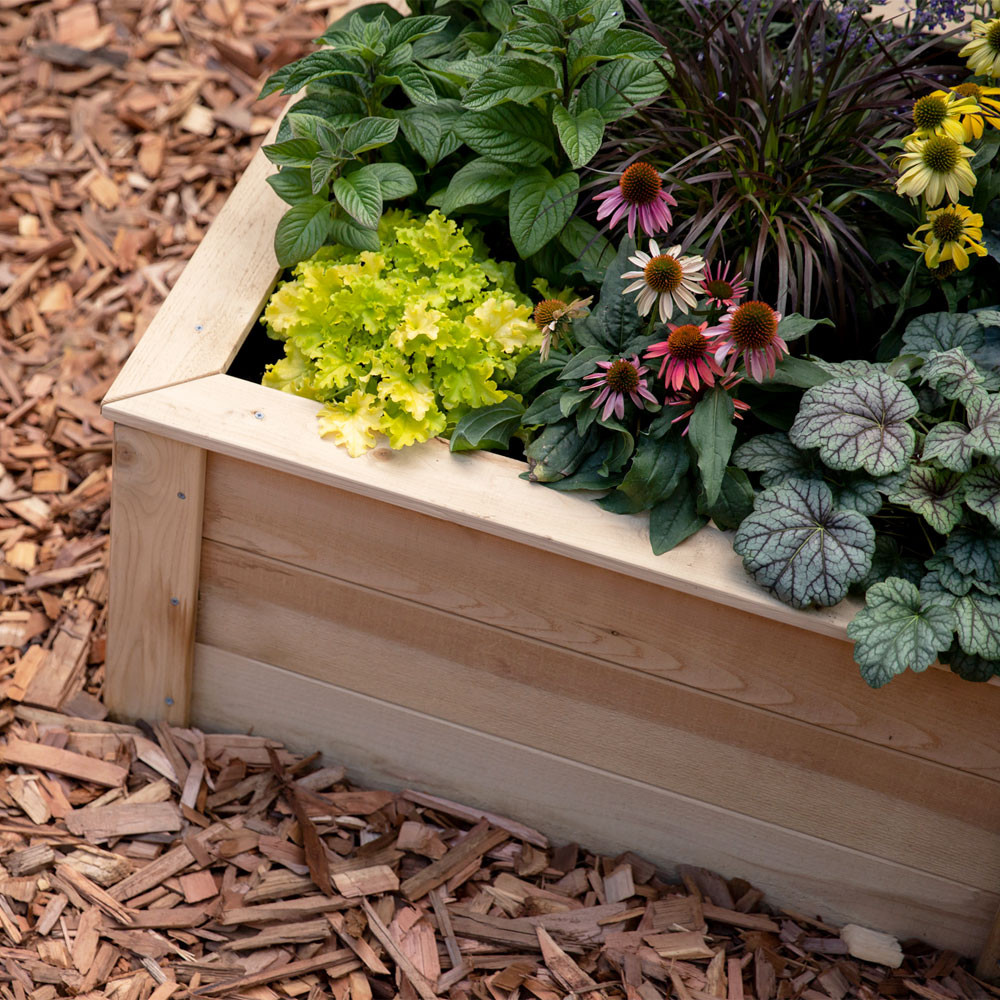LShaped Natural Cedar Raised Garden Beds Eartheasy