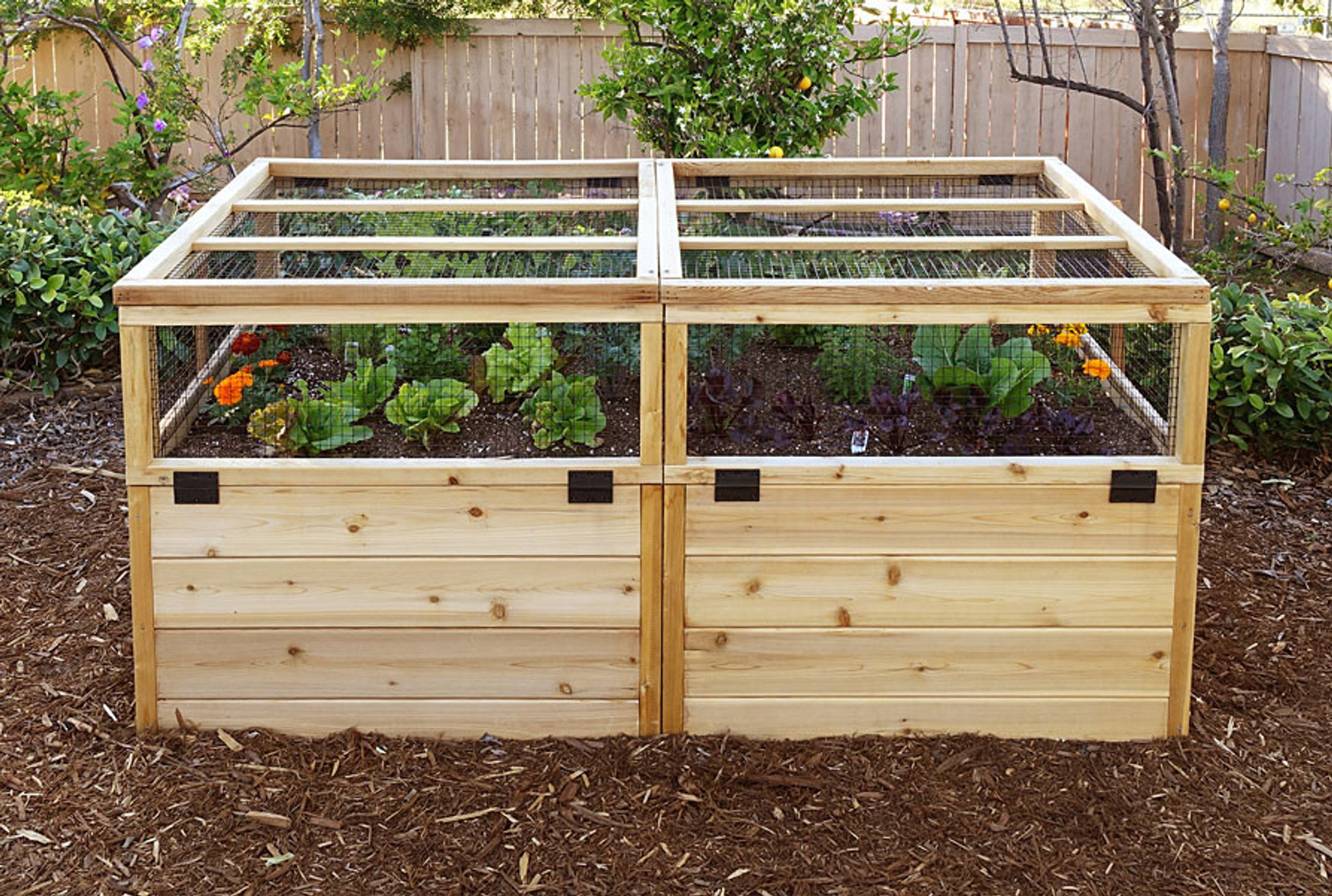 3 X 6 Raised Garden Bed With Hinged Fencing And Trellis