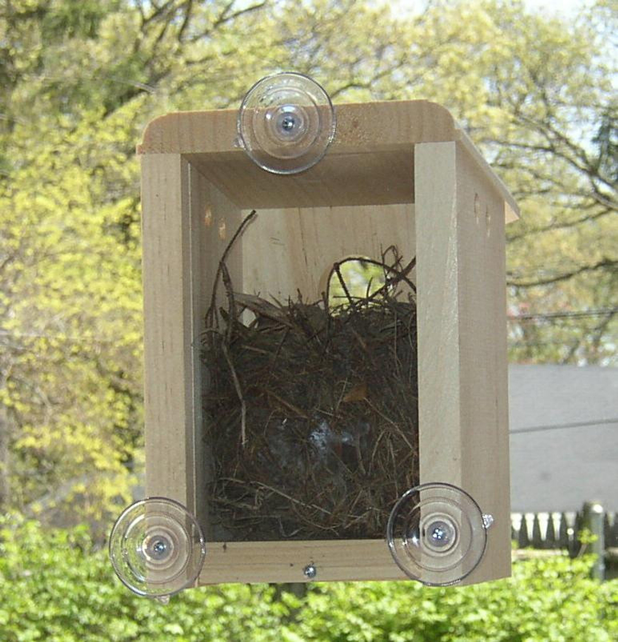 bird box with camera inside