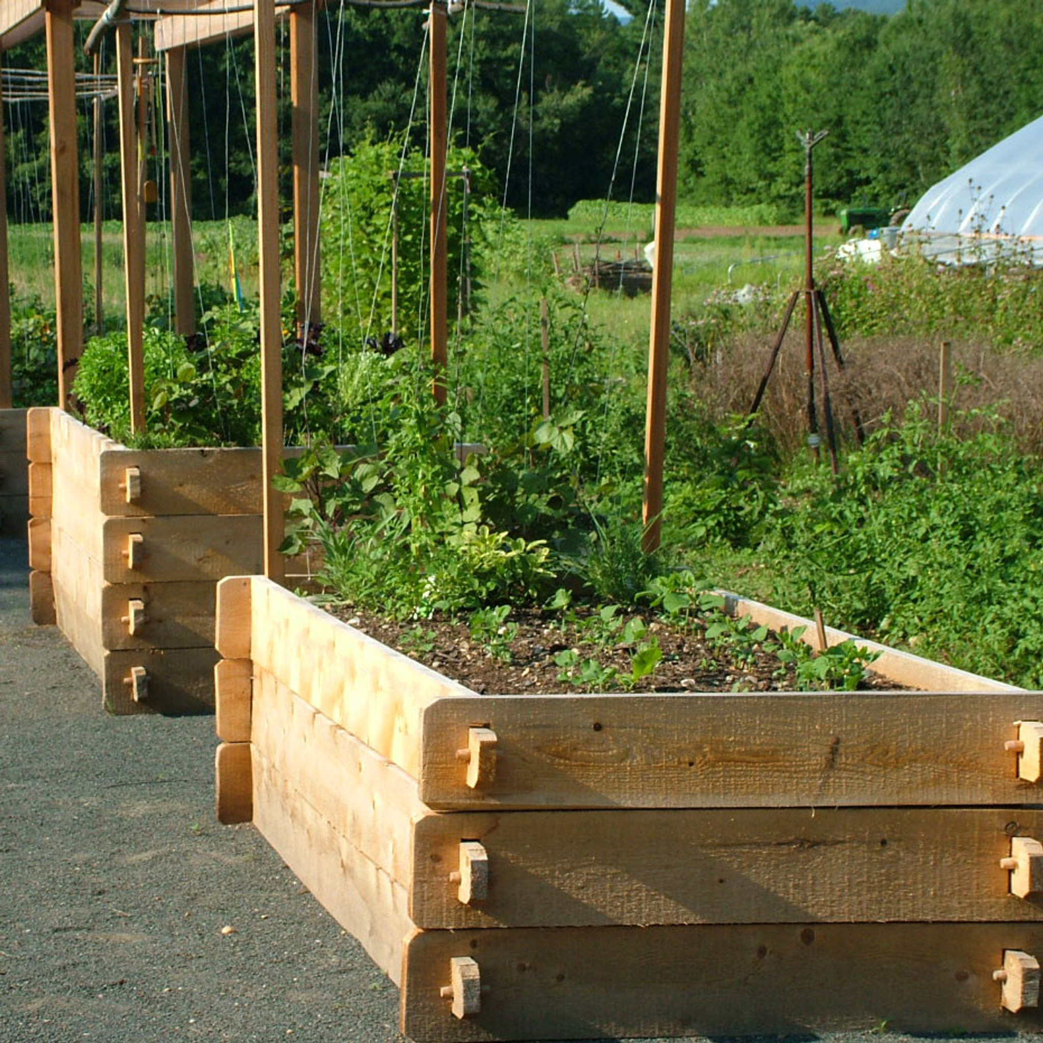 Farmstead Raised Garden Bed Eartheasy Com