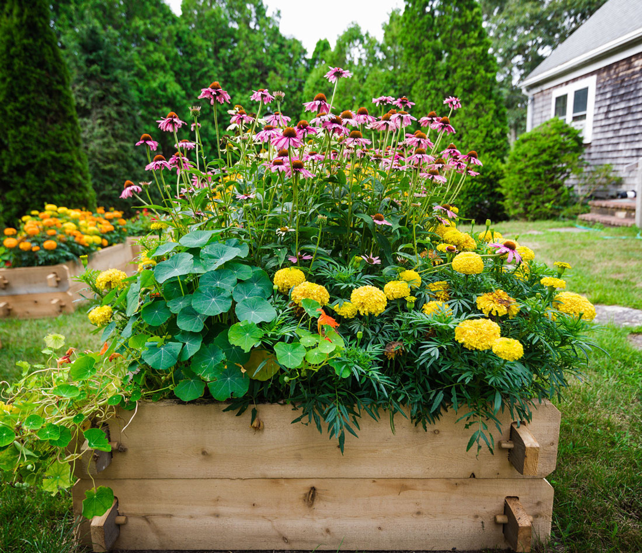 Farmstead Raised Garden Bed | Eartheasy.com