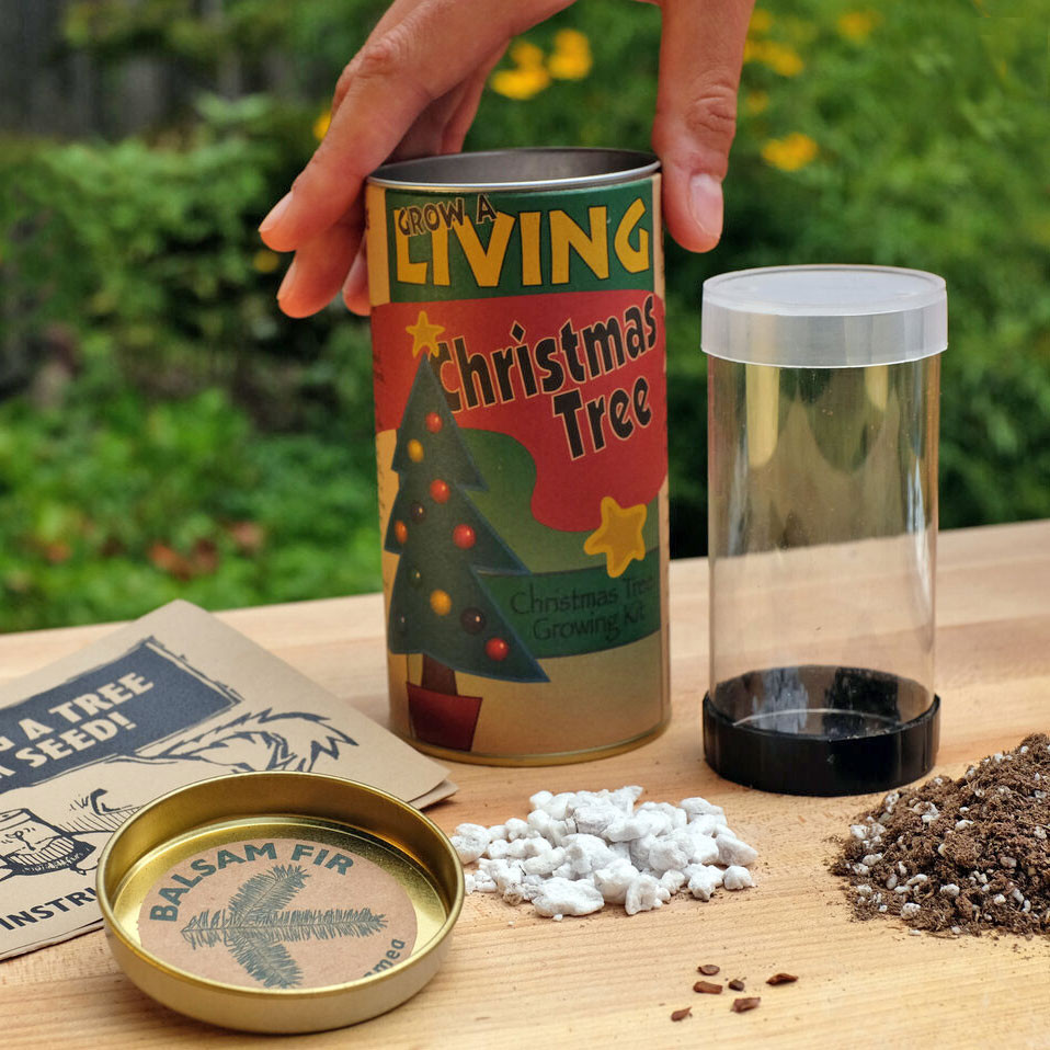 Christmas Tree Grow Kit