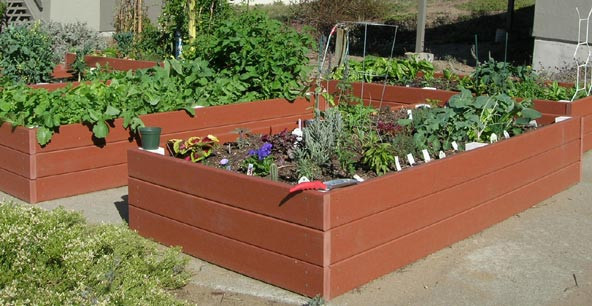 Recycled Plastic Raised Garden Bed