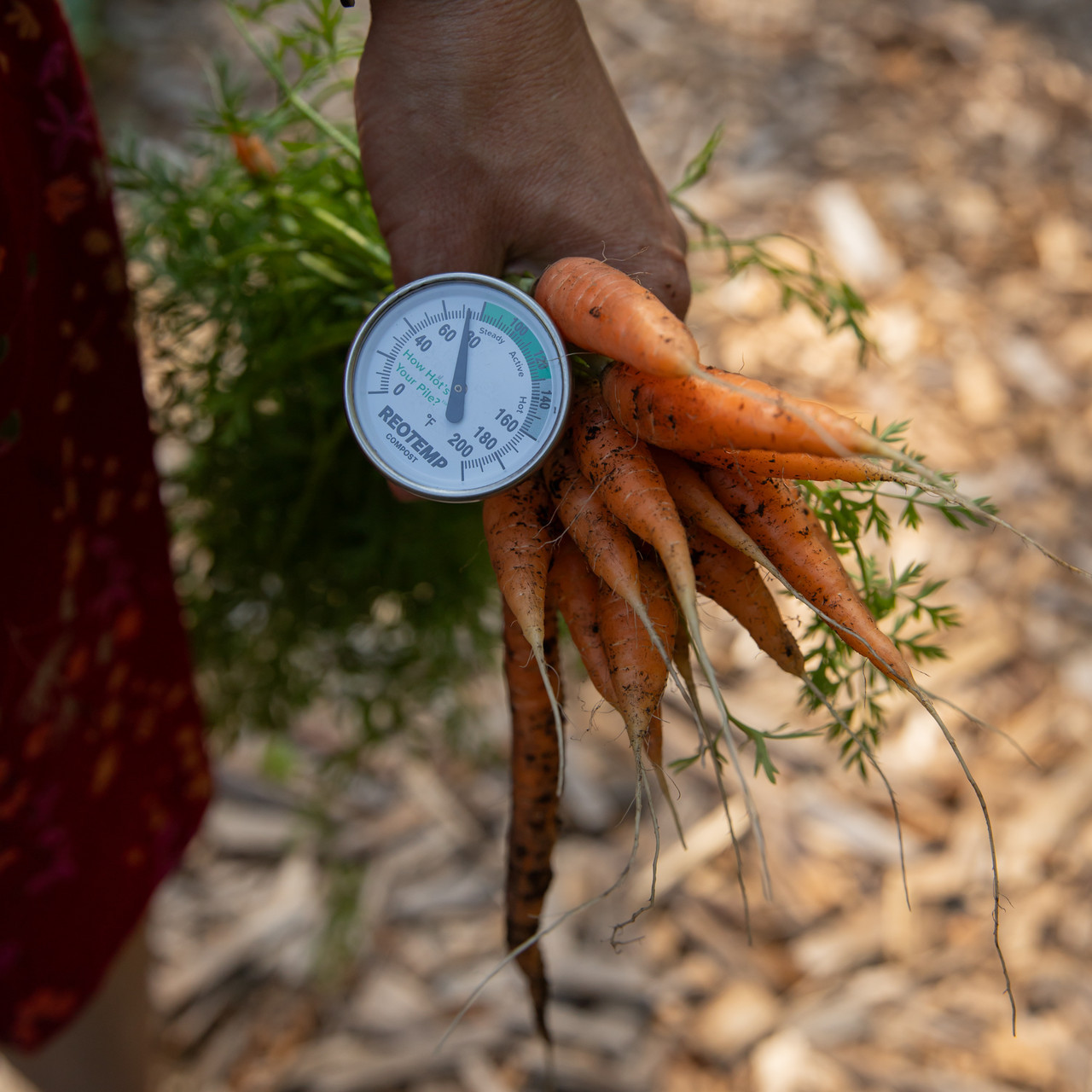 Garden Composters, Bins & Compost Tumblers Eartheasy