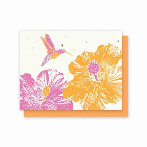 Grow-A-Note Hummingbird Hibiscus Box Set - 5 Cards