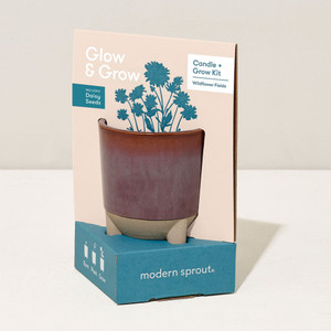 Glow & Grow Candle Flower Planter Kit