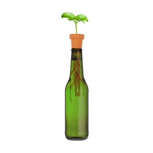 Terracotta Bottle Top Herb Planter - Set of 3