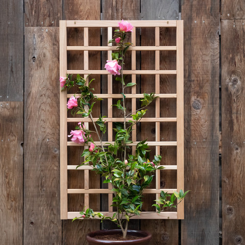 Natural Cedar Wall Mounted Trellises