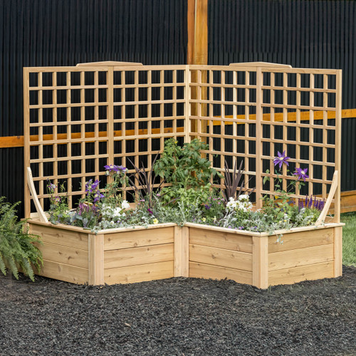 Natural Cedar L-Shaped Raised Beds with Trellis Natural Cedar L-Shaped Raised Beds with Trellis