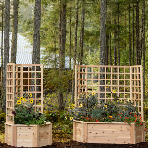 Natural Cedar Hexagon Raised Beds with Trellis Natural Cedar Hexagon Raised Beds with Trellis