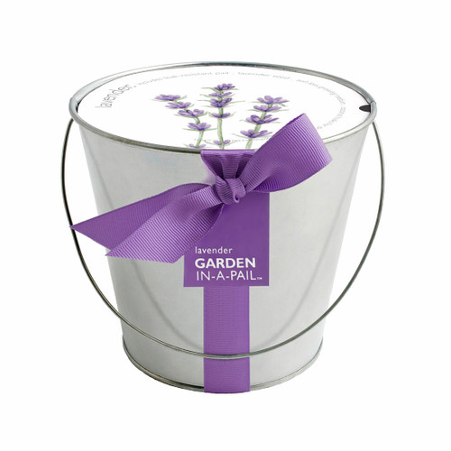 Lavender Garden-in-a-Pail