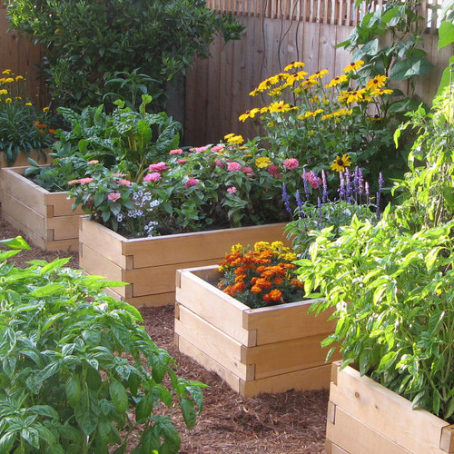 Classic Natural Cedar Raised Garden Beds