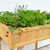 VegTrug Herb Planter - Natural Wood