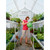 Solexx Garden Master Greenhouse Kit