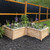 Natural Cedar L-Shaped Raised Garden Beds