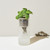 Basil Eco Planter