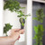 The Eve - Indoor Vertical Hydroponic Garden System