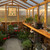8' x 12' Cedar Greenhouse