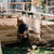 Cedar Complete Raised Garden Bed Kit with Greenhouse Cover 8' x 12'