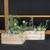 Classic Natural Cedar L-Shaped Raised Garden Beds