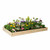 Classic Natural Cedar Raised Garden Beds