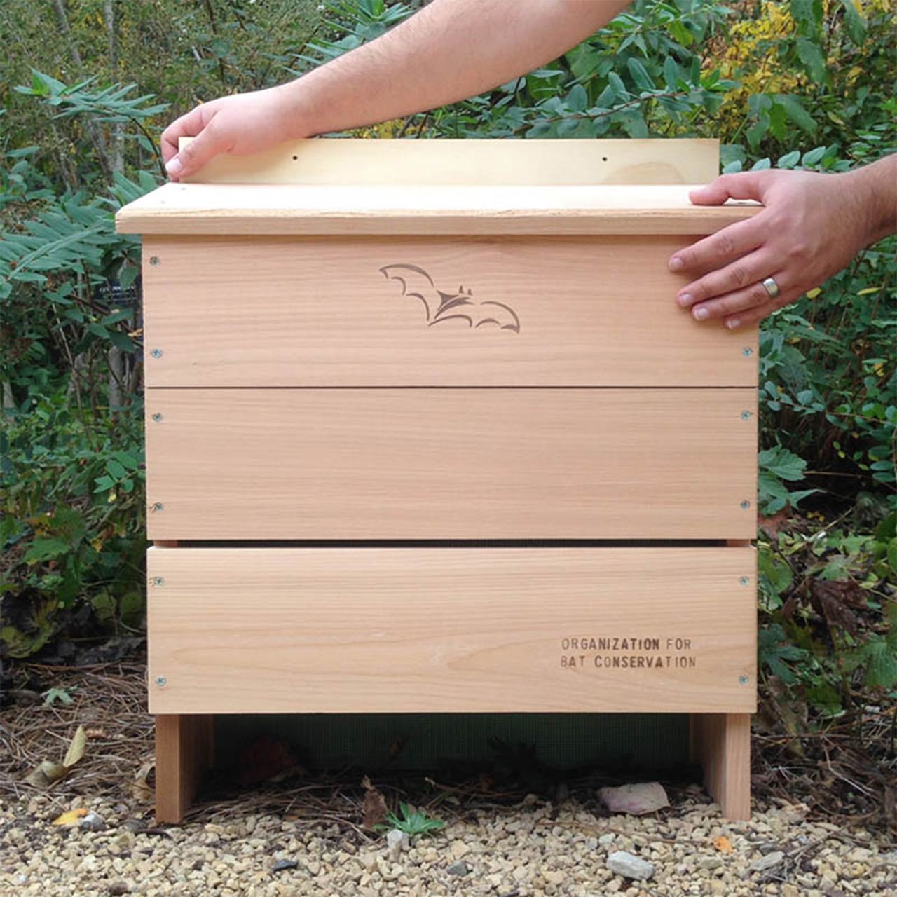 Four-chambered Bat House – Austin Batworks, image size:1280x1280