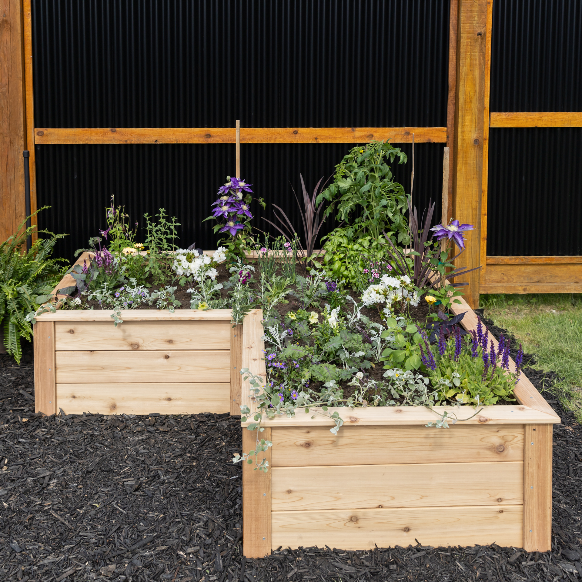 L-Shaped Natural Cedar Raised Garden Beds - Eartheasy
