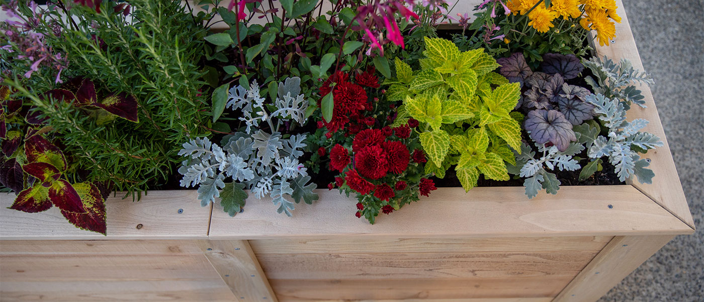 Natural Cedar Planter Boxes - 20W x 26L x 17H