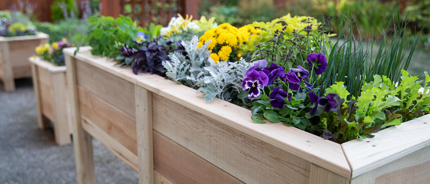 Natural Cedar Elevated Garden Planter