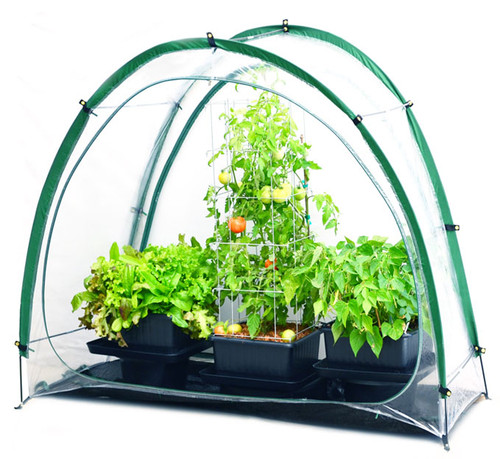 CultiCave Mini Greenhouse