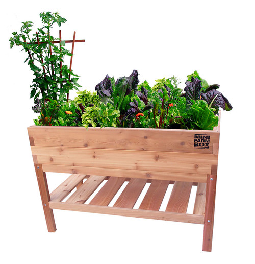 Rock-solid Cedar Planter with Bottom Shelf | Eartheasy.com