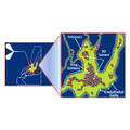 SynTumor 3D Cancer Model - Darwin Microfluidics