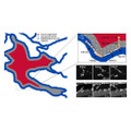 SynRAM 3D Inflammation Model - Darwin Microfluidics