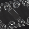 Trapping Chamber Chip - Luer
